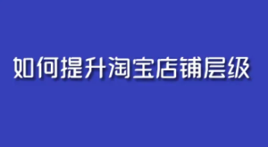 居然可以这样，淘宝店铺层级的安全补法是什么？淘宝店家层级划分，