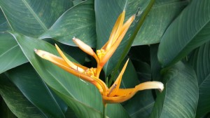 这样也行？，淘宝一件代发怎么提高销量？如何补销量？淘宝一件代发怎么操作怎么发货给买家，