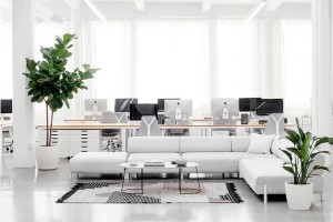 难以置信，淘宝补单需要等级账号多少级？号能借人补单吗？淘宝补单要补多久的单子，