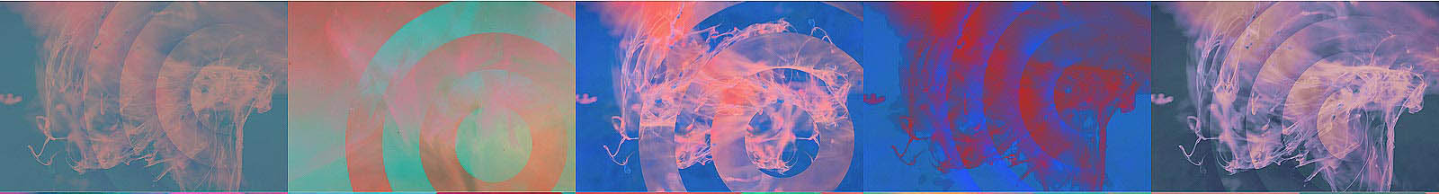 平台合集页面,多个补单平台对比,优质靠谱的的补单平台